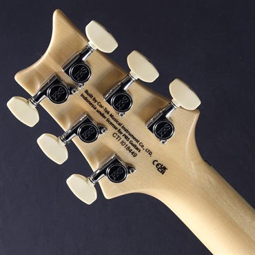 P.R.S. SE Ed Sheeran Hollowbody I Piezo Baritone (Kaleidoscope) #CTI I018449【2026年生産品】 画像6
