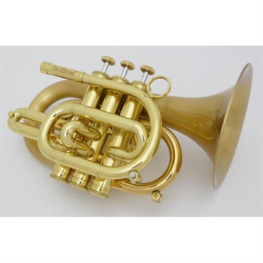 CAROL BRASS キャロルブラス / N3000(D) SATIN-BELL GB 【Bb ポケット トランペット 】【出荷前調整で安心】 画像1