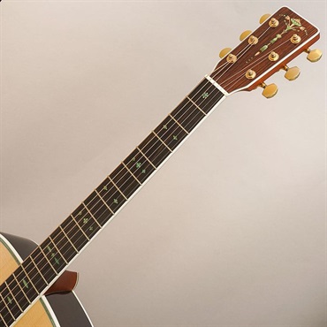 K.Yairi YF-OM41 Sen-Sai 【サウンドメッセ2026 20本限定生産モデル】 Kヤイリ 画像8