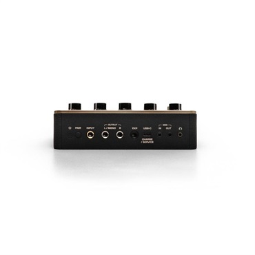 Positive Grid Spark PEDAL 画像5